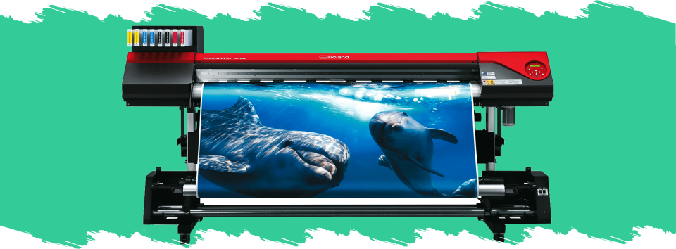 web_VINILIMPRE_cinta2